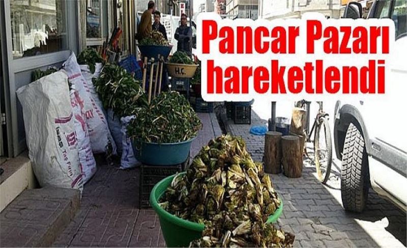 Pancar Pazarı hareketlendi