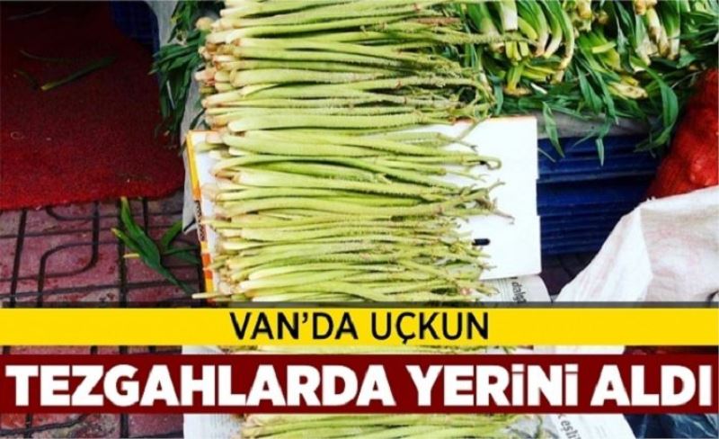 Uçkun Van'da tezgahlarda yerini aldı