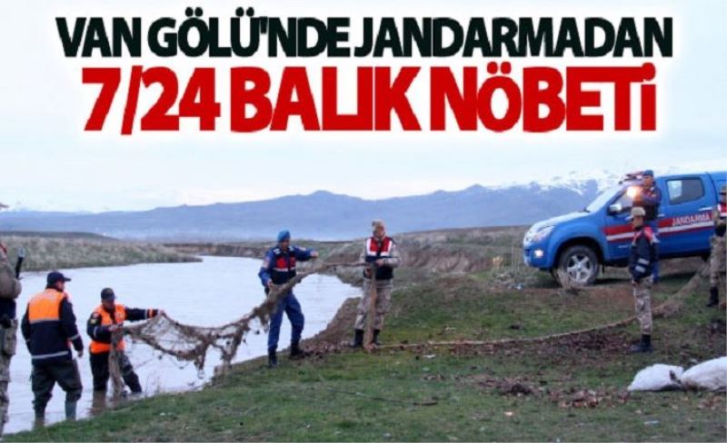 Van Gölü'nde jandarmadan 7/24 balık nöbeti