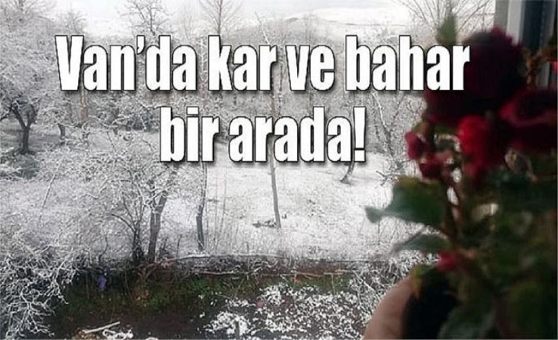 Van’da kar ve bahar bir arada!