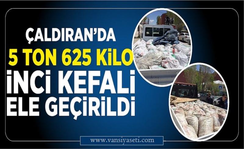 Çaldıran’da 5 ton 625 kilo Van Balığı ele geçirildi