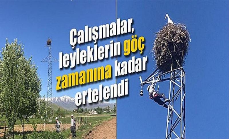 Çalışmalar, leyleklerin göç zamanına kadar ertelendi