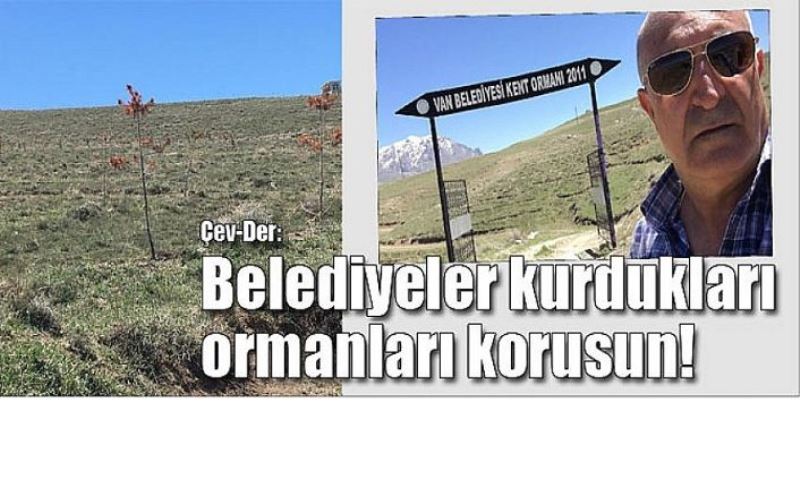 Çev-Der: Belediyeler kurdukları ormanları korusun!