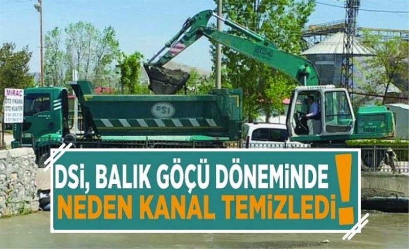 DSİ, balık göçü döneminde neden kanal temizledi!