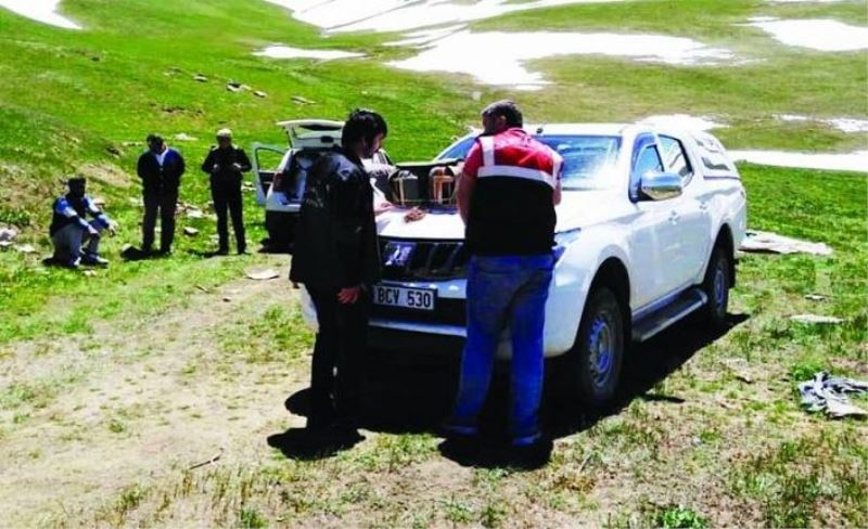 Kafes avcılığı için Şanlıurfa'dan geldiler, jandarmaya takıldılar