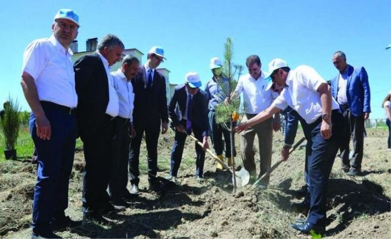 Tuşba Belediyesi'nden yeşillendirme çalışması...