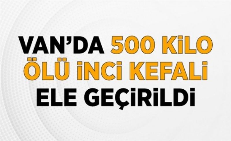 Van’da 500 kilo ölü inci kefali ele geçirildi