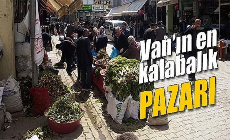 Van’ın en kalabalık pazarı