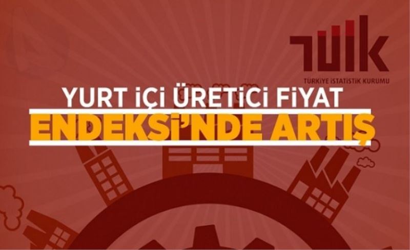 Yurt İçi Üretici Fiyat Endeksi’nde artış