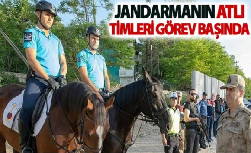 Jandarmanın atlı timleri görev başında