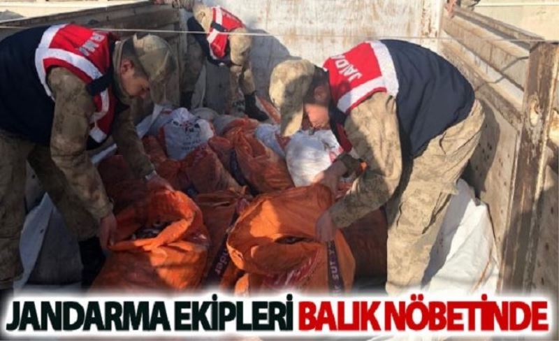 Kaçak avlanmış balık ve ağ ele geçirildi