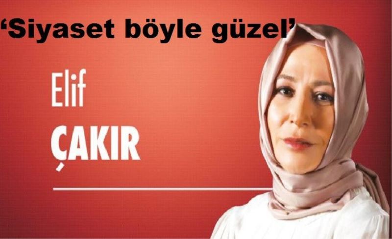 ‘Siyaset böyle güzel’