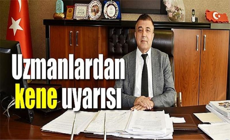 Uzmanlardan kene uyarısı