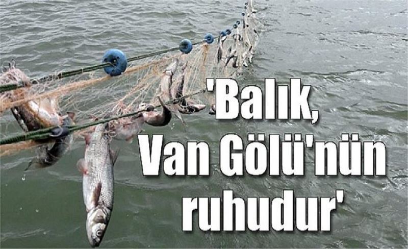 'Balık, Van Gölü'nün ruhudur'