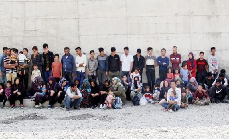 Başkale’de 74 düzensiz göçmen yakalandı