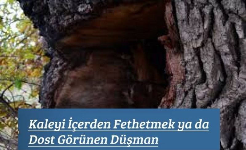 Kaleyi İçerden Fethetmek ya da Dost Görünen Düşman