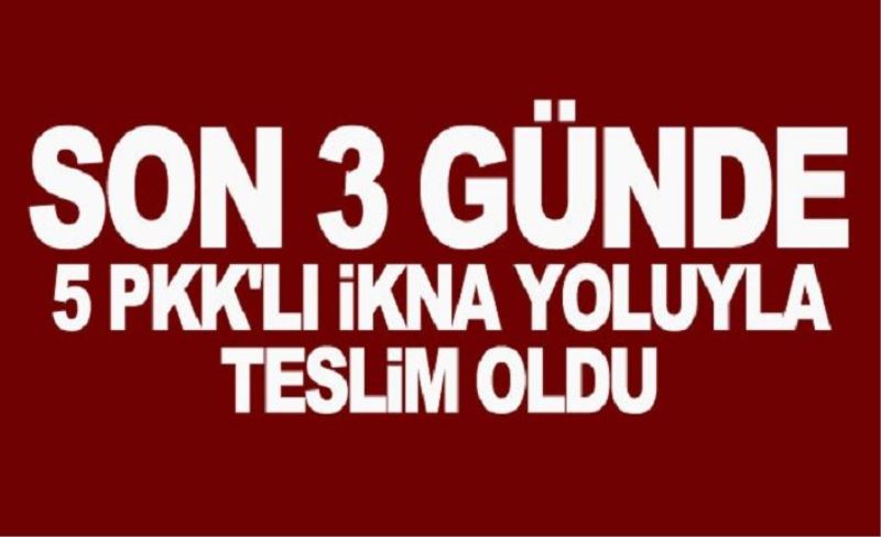 Son 3 günde 5 PKK'lı ikna yoluyla teslim oldu