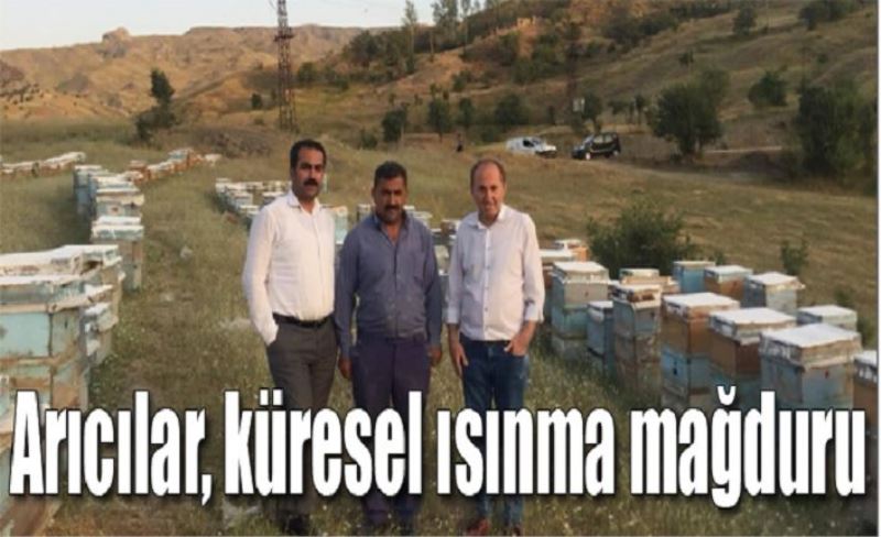 Arıcılar, küresel ısınma mağduru