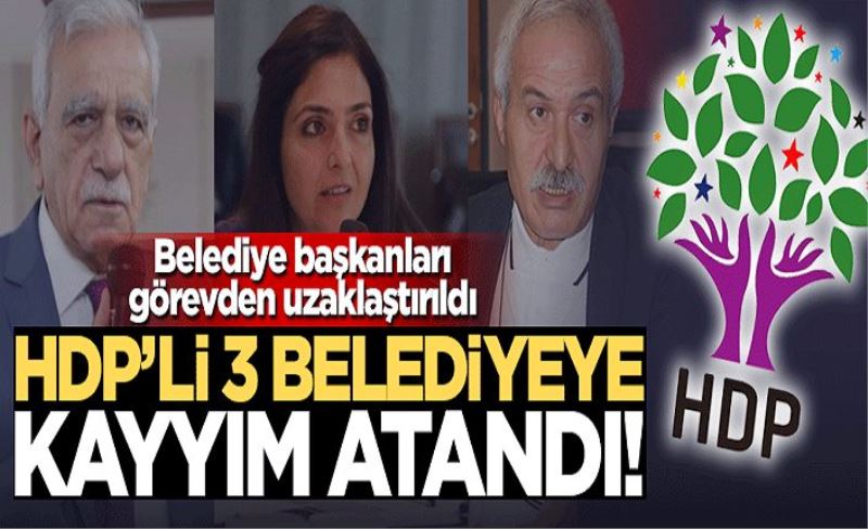 HDP'li 3 Büyükşehir Belediyesine operasyon! Görevden uzaklaştırıldılar