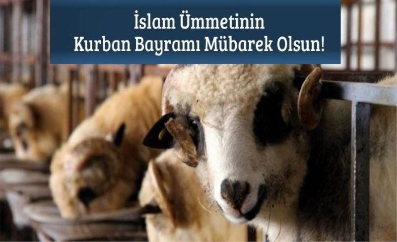 İslam Ümmetinin Kurban Bayramı Mübarek Olsun!​​​​​​​