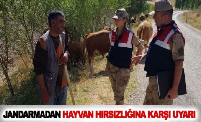 Jandarmadan hayvan hırsızlığına karşı uyarı