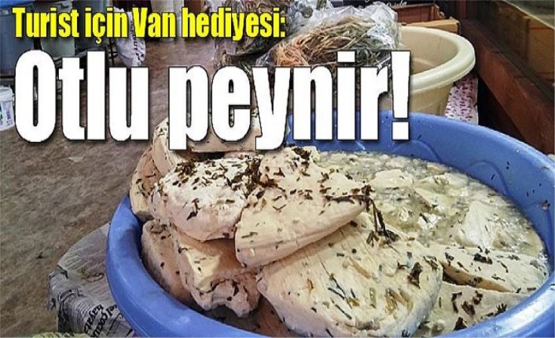 Turist için Van hediyesi: Otlu peynir!