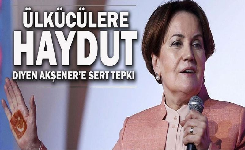 Ülkücülere "haydut" diyen Akşener'e çok sert tepki!