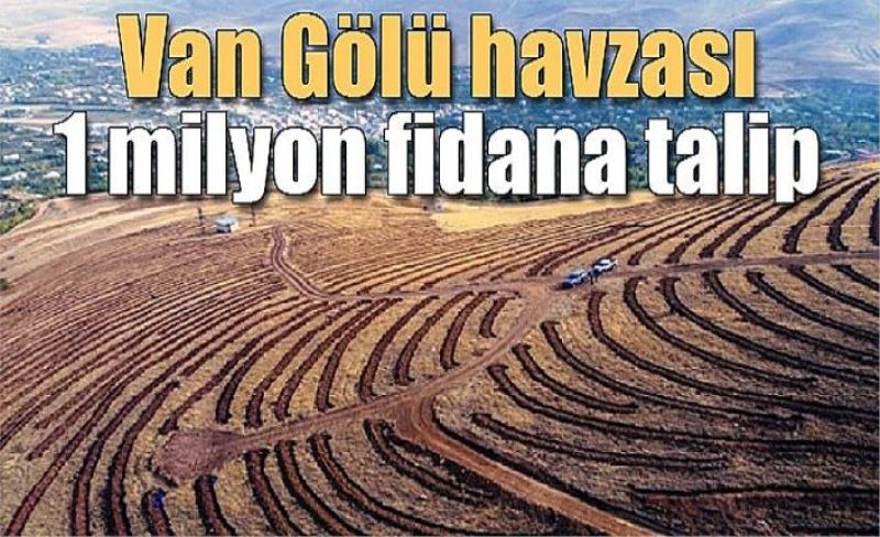 Van Gölü havzası 1 milyon fidana talip