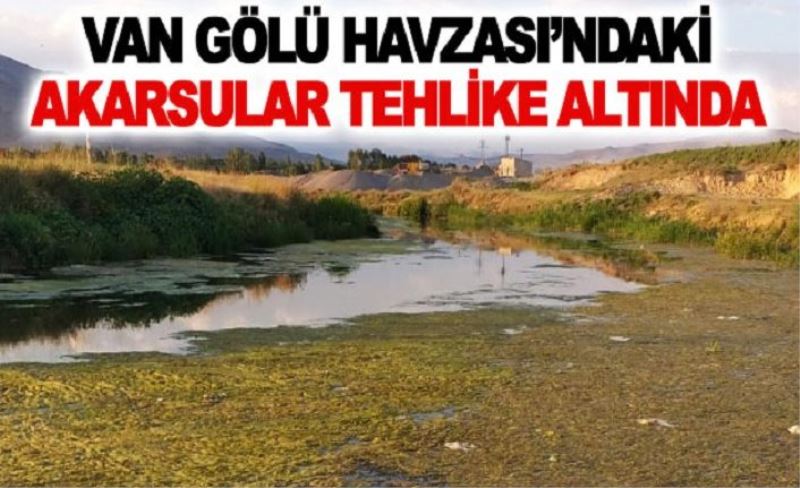 Van Gölü Havzası’ndaki akarsular tehlike altında