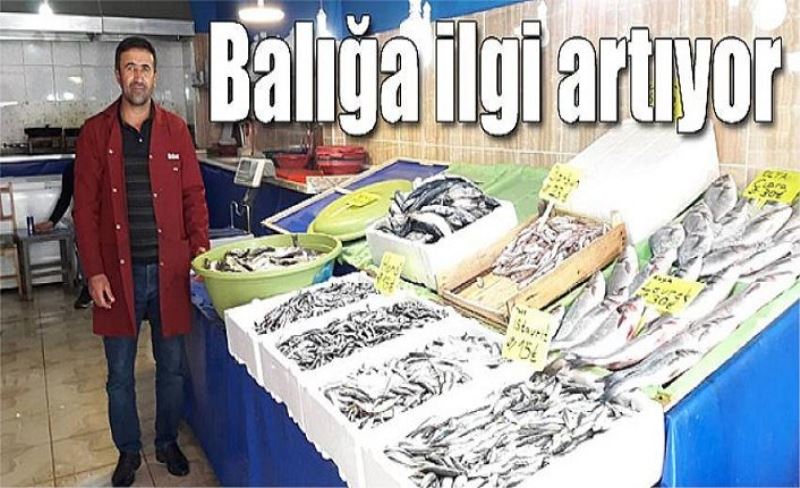 Balığa ilgi artıyor