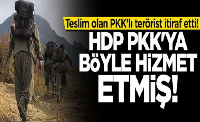 BUNLAR VAN HDP'DE YAŞANMIŞ!