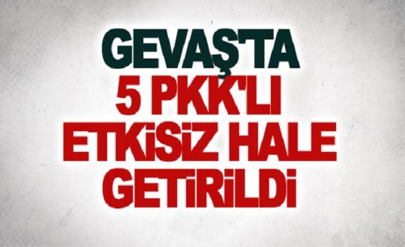 Gevaş'ta 5 Pkk'lı etkisiz hale getirildi