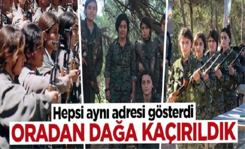 Hepsi aynı adresi gösterdi: HDP binalarından dağa gönderildik