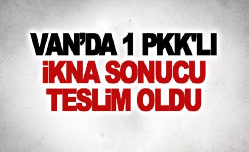 Van'da ikna sonucu 1 PKK'lı teslim oldu