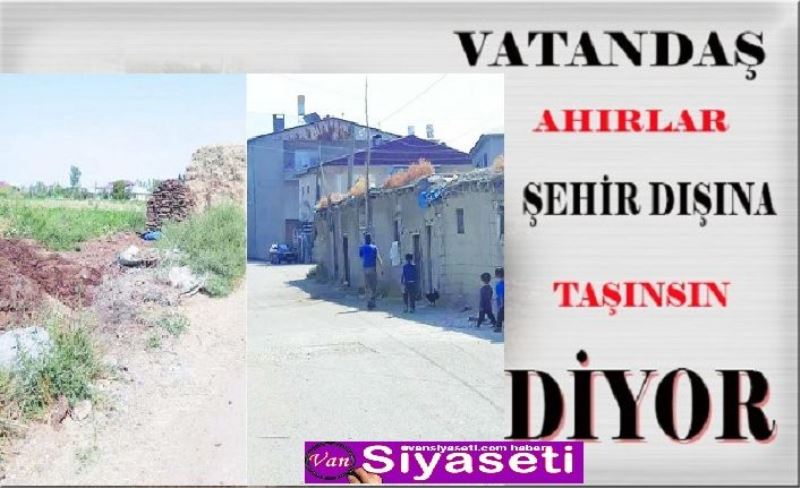 Vatandaş mahalledeki ahırlardan şikayetçi