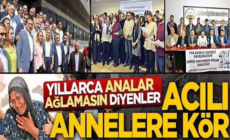 Yıllarca ‘Analar ağlamasın’ diyenler acılı annelere kör