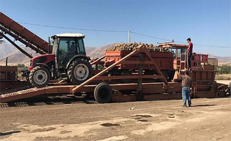 Çiftçiler üretti, şimdi teslim zamanı