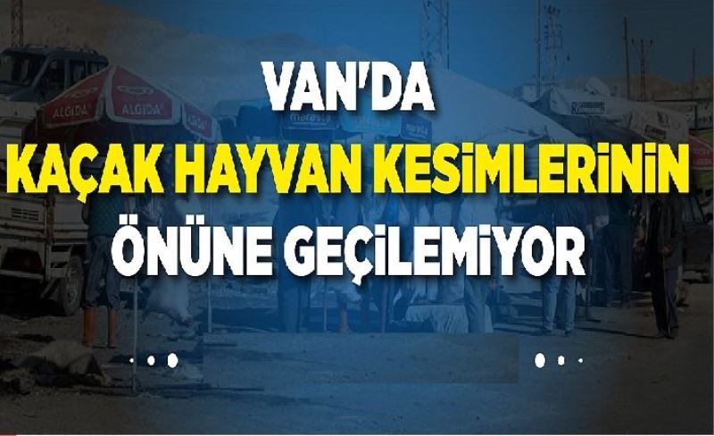 Van'da kaçak hayvan kesmlernn önüne geçlemyor