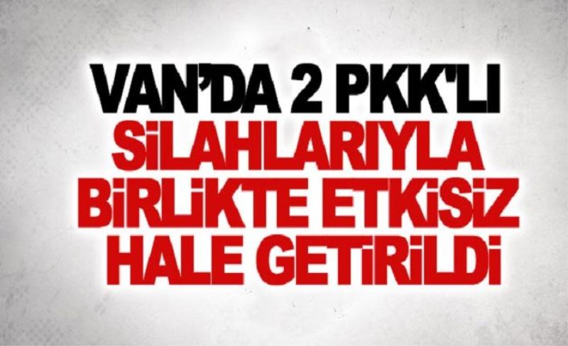 Van’da 2 pkk'lı silahlarıyla birlikte etkisiz hale getirildi