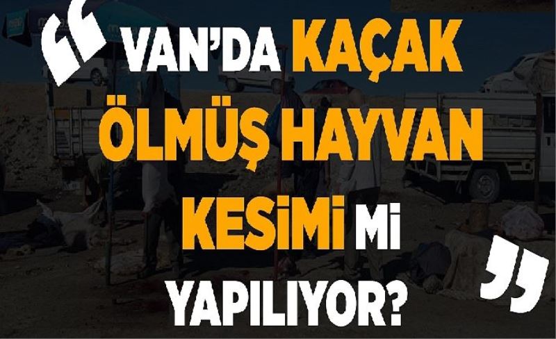 Van’da kaçak ölmüş hayvan kesimi mi yapılıyor?