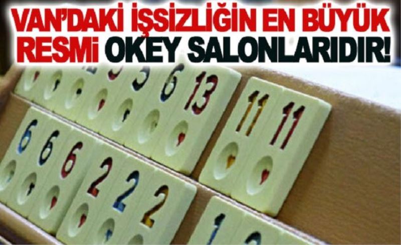 Van’daki işsizliğin en büyük resmi Okey salonlarıdır!