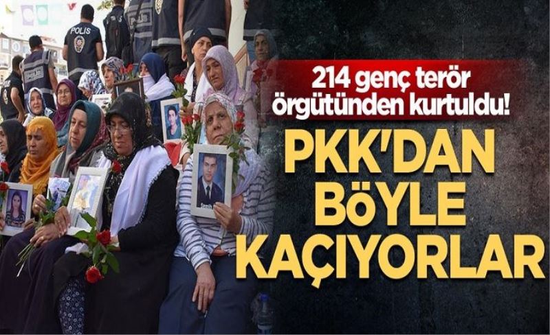 214 genç terör örgütünden kurtuldu! PKK'dan böyle kaçıyorlar