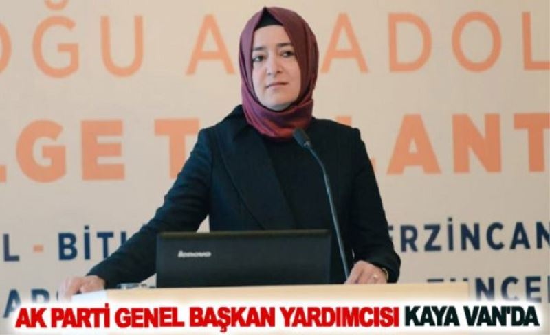 AK Parti Genel Başkan Yardımcısı Kaya Van'da