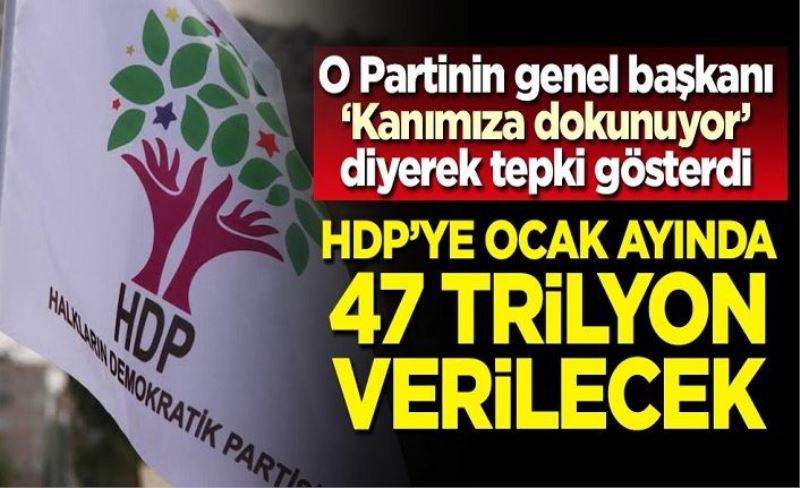 Aksakal 'Kanımıza dokunuyor' diyerek tepki gösterdi! HDP'ye ocak ayında 47 trilyon verilecek