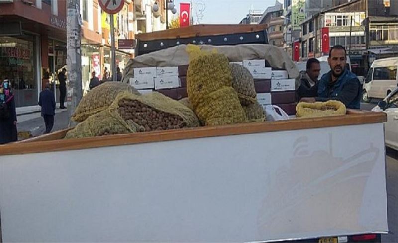 Esnaf, ceviz satışlarından memnun