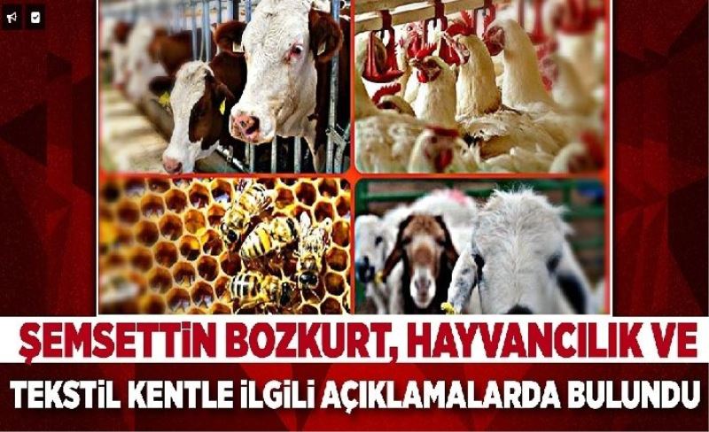 Şemsettin Bozkurt, hayvancılık ve tekstil kentle ilgili açıklamalarda bulundu