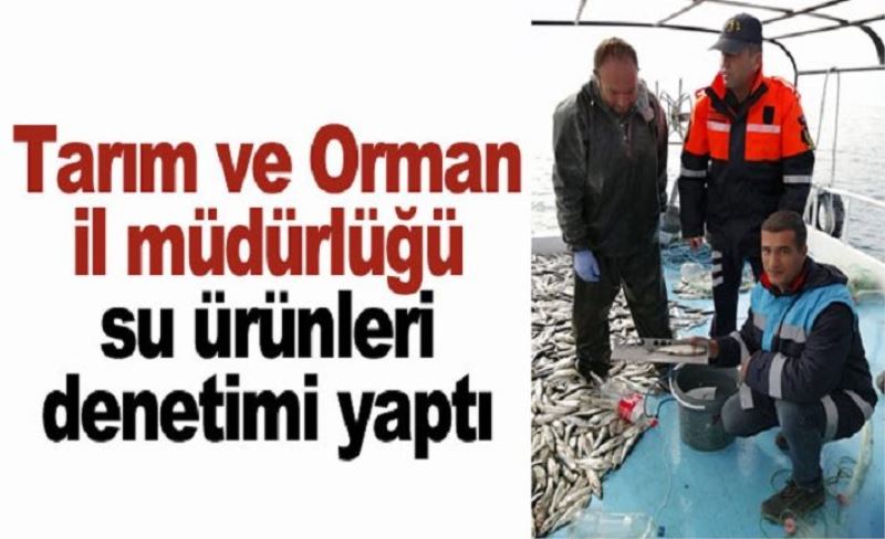 Tarım ve Orman il müdürlüğü su ürünleri denetimi yaptı