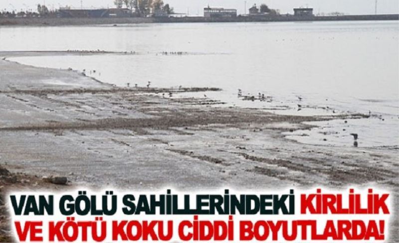 Van Gölü sahillerindeki kirlilik ve kötü koku ciddi boyutlarda!