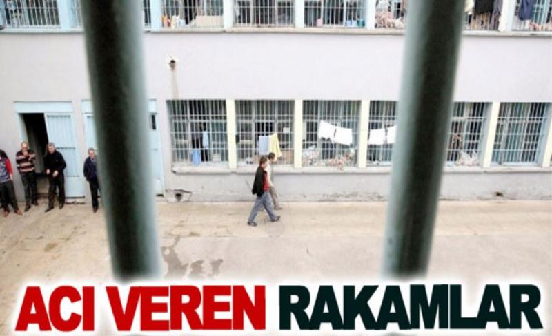 Acı veren rakamlar