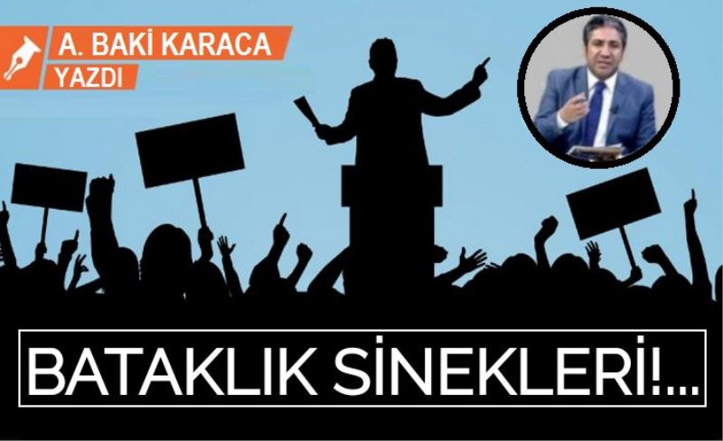 BATAKLIK SİNEKLERİ!...